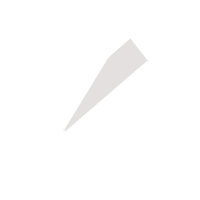 淮安临时保镖服务